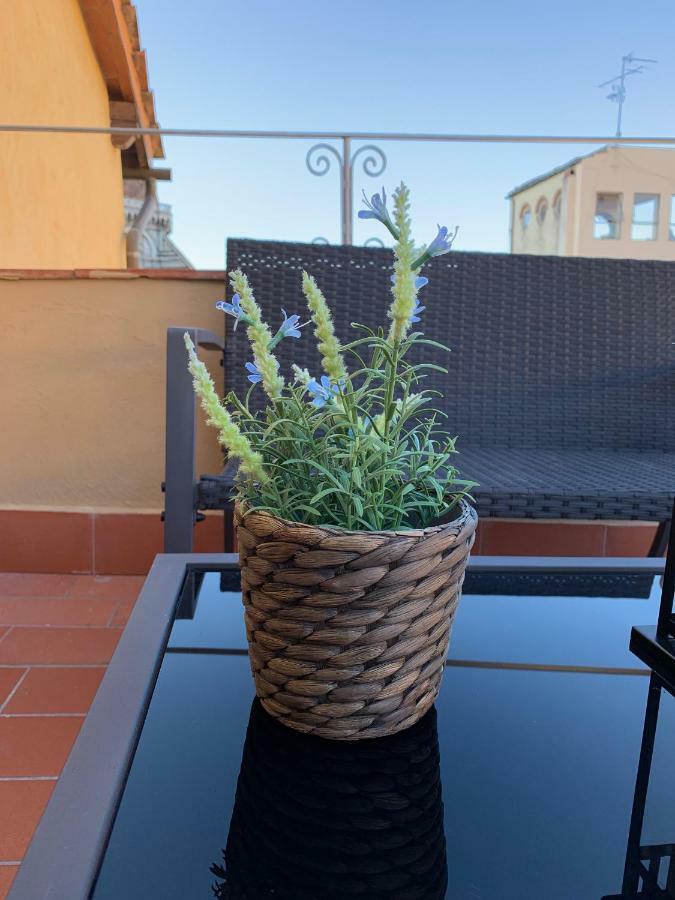 Domus Plaza Hotel Florence Exterior photo